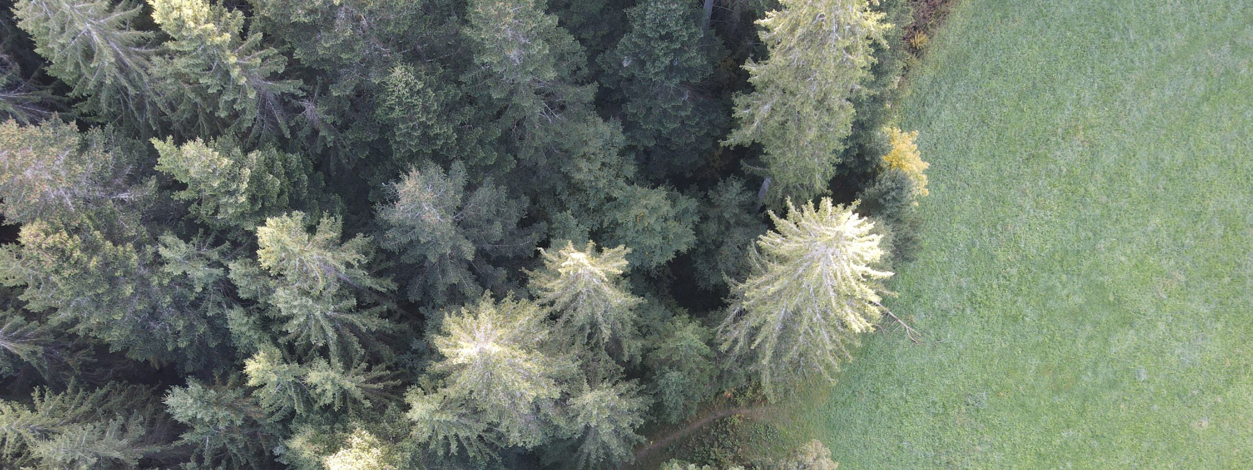 emissionsbalance.net